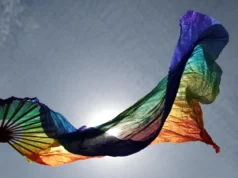 El Tribunal Supremo de Japón dictamina que la prohibición del matrimonio entre personas del mismo sexo es constitucional