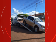 Personas atropellaron perros en Paraná, no prestaron auxilio y confiscaron autos