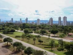 Día Nacional de la Conciencia Negra: vea lo que está abierto y cerrado durante las vacaciones en Palmas