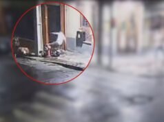 Lo que se sabe de la pelea que terminó con un abogado asesinado y otro baleado en el centro de Porto Alegre