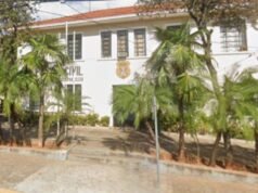 La policía acusó de insultos raciales a un hombre que se hizo pasar por un mono para una mujer dentro del SP