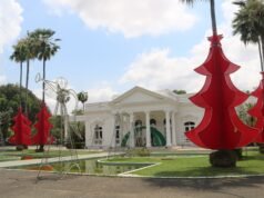 El Palacio Carnac y la Avenida Antonino Freire se visten de adornos navideños; La inauguración es el lunes (24)