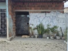 Poder de facción en el noreste – Número 1591