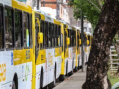 Inaugurada nueva línea de autobús en Salvador