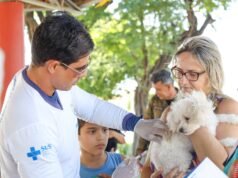 Vacunación de perros y gatos en un supermercado de Manaus