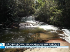 El bosque en Greater Sp. se ha convertido en un parque con 260 especies