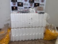 Cinco personas fueron detenidas y sus envases incautados en operativo del MP contra medicamentos falsificados