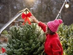 Cómo la Navidad es más cara que nunca: la investigación del Daily Mail revela el asombroso coste real del período festivo… y los elementos esenciales que son más caros