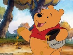 AN WILSON: Pooh es obeso. Eeyore está deprimido. Y Tigger tiene TDAH… ¡Es por eso que los editores de hoy en día no tocarían los cuentos alegremente humorísticos de AA Milne ni con un palo de Pooh!