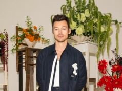 Harry Styles finalmente comienza a trabajar en su proyecto de megamansión de £ 18 millones, completo con CUATRO vestidores, una galería de arte y un patio interior.