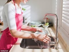 La repugnante razón por la que NUNCA debes dejar los platos en remojo en el fregadero durante la noche: ‘Charco de bacterias dañinas’