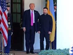 Zelensky exige un alto el fuego de 60 días a cambio de una votación histórica sobre la cesión de tierras a Rusia antes de la cumbre de paz de Mar-a-Lago