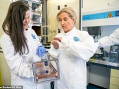 La esperanza de que el tratamiento para el Alzheimer que “cambie la vida” esté a solo cinco o diez años de distancia