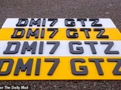 COMENTARIO DEL CORREO DIARIO: El número ha aumentado en el tráfico de placas de vehículos