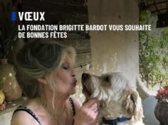 Las últimas publicaciones de Brigitte Bardot en las redes sociales la muestran haciendo lo que amaba y luciendo notablemente saludable sin los cuidados de los que dependió en sus últimos años, pocos días antes de su muerte.