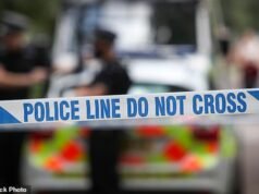 Se inicia una búsqueda urgente después de que “un hombre de unos 30 años fuera atacado y violado el día de Navidad”