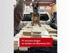 Encontrado por PF en ciudad Argentina SC en Lista Roja de Difusión de Interpol