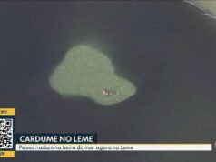 Bañistas nadan entre bancos de arena en Praia do Leme