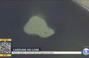 Bañistas nadan entre bancos de arena en Praia do Leme