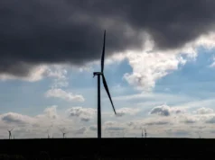La administración Trump cierra proyectos eólicos marinos en EE. UU. alegando “seguridad nacional”