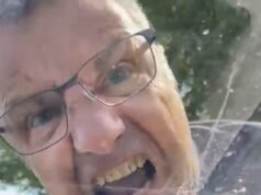 El ‘hombre más enojado de Gran Bretaña’ que gritó insultos a una automovilista después de que ella le pitó es encarcelado por un nuevo arrebato contra una madre y su bebé recién nacido