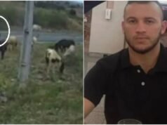 Un motociclista ha muerto tras chocar con un caballo en la misma carretera donde murió su madre en un accidente en Ciara