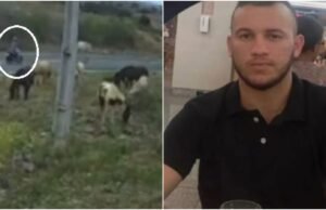 Un motociclista ha muerto tras chocar con un caballo en la misma carretera donde murió su madre en un accidente en Ciara