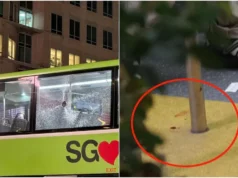 La persona que hirió al pasajero al arrojar una botella de vidrio a la ventanilla del autobús fue condenada a más de 7 meses de cárcel