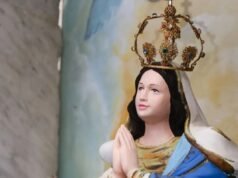 Vea lo que abre y cierra los días festivos de Nossa Senhora da Conceição en AP