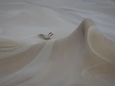 Derrame de aceite de girasol en Odesa, Ucrania, debido al ataque ruso