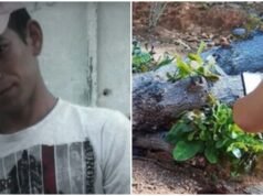 Una persona ha muerto tras ser alcanzada por un árbol en el interior de la Sierra