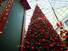 ¿Programado para Navidad o Nochevieja? Ver derechos, vacaciones y lo que los trabajadores necesitan saber